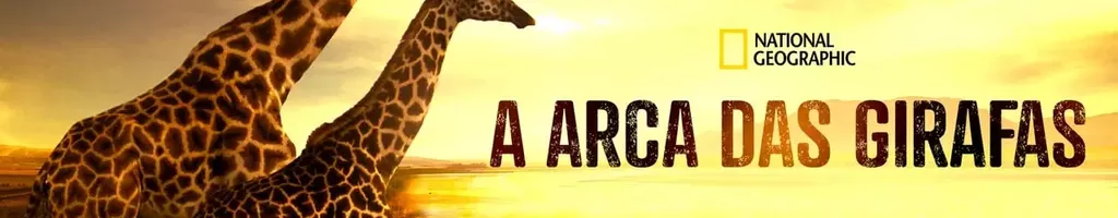 A Arca das Girafas