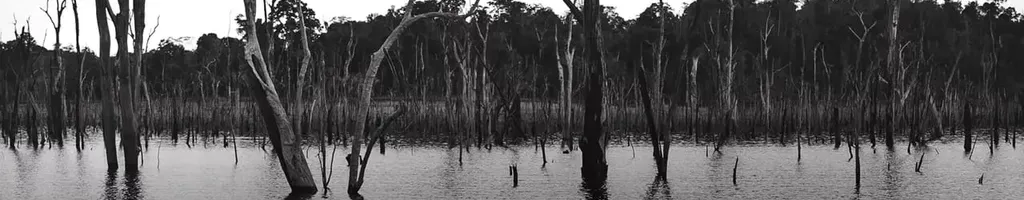 O Reflexo do Lago