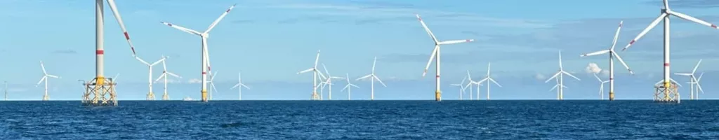 Windparks im Meer - Chance oder Risiko für die Natur?