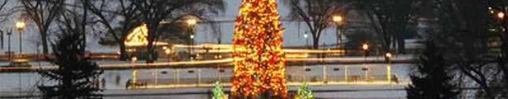 The National Christmas Tree, A Century of Celebration