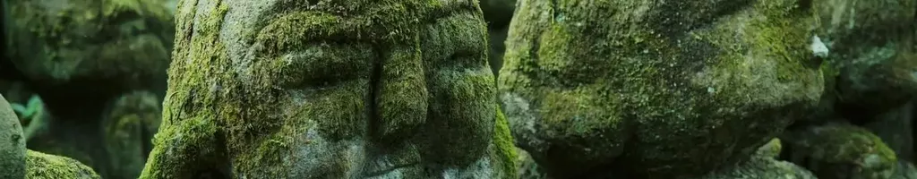 The Magical World of Moss