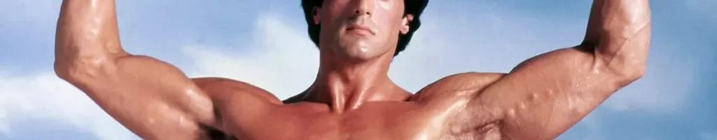 Stallone, profession héros