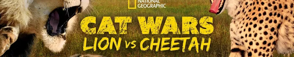 Cat Wars: Lion vs. Cheetah