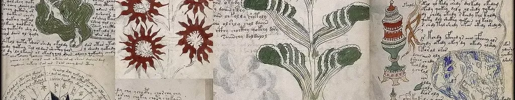 Das Voynich-Manuskript - Die geheimnisvollste Handschrift der Welt