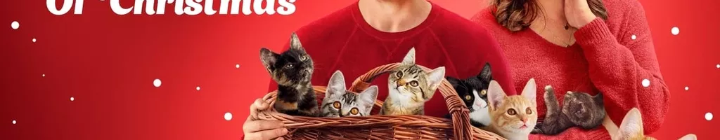 The Nine Kittens of Christmas