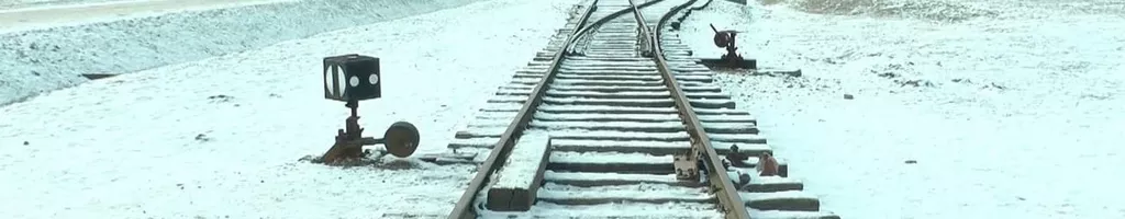 19 876 Steps in Auschwitz / Birkenau