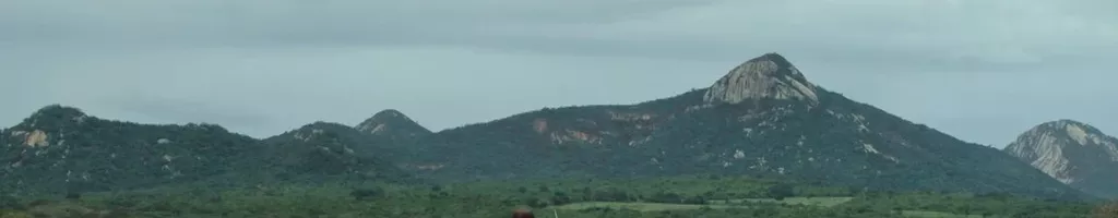 Toada para José Siqueira