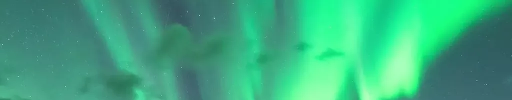 Aurora Borealis: An Evening under the Northern Lights