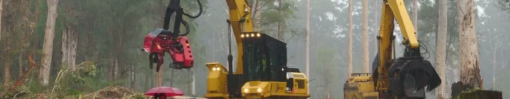 Cry of the Forests - A Western Australian Story