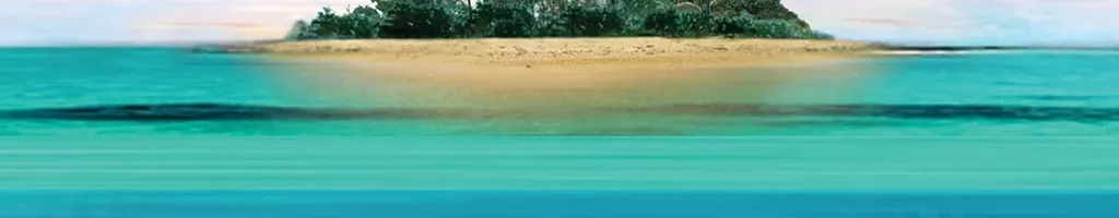 Wild Caribbean