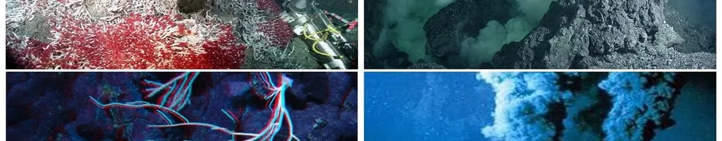 Volcanoes of the Deep Sea