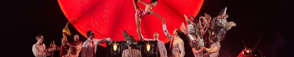 Cirque du Soleil: Luzia