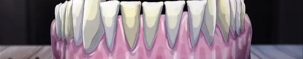 Teeth