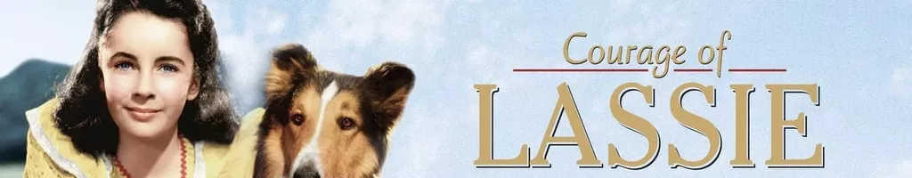 A Coragem de Lassie