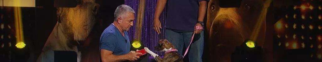 Cesar Millan: Viva Las Vegas!