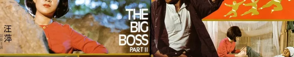 The Big Boss Part II