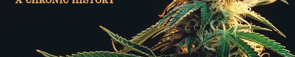 Marijuana: A Chronic History