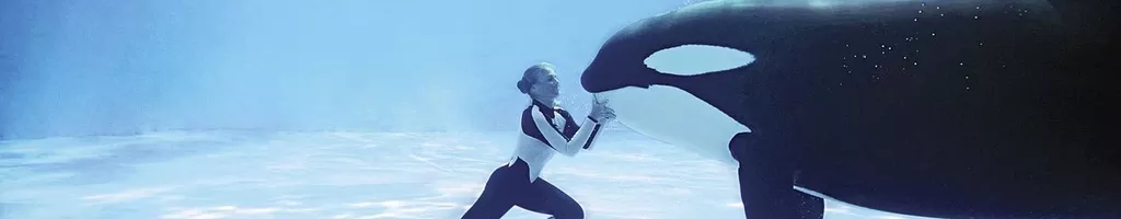 Blackfish: Fúria Animal