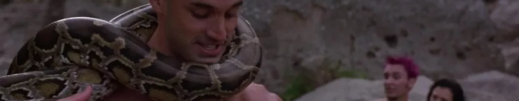 Python