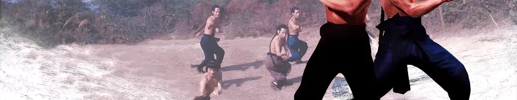 As Artes Marciais de Shaolin