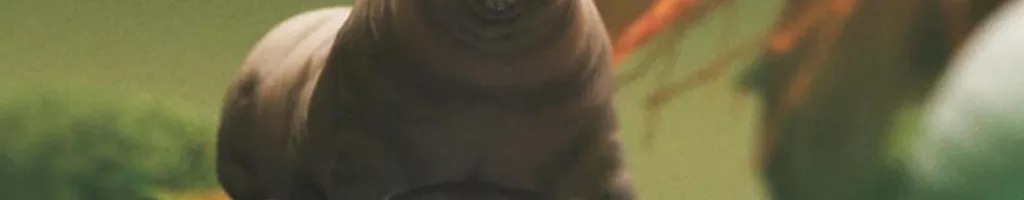 Tardigrade, l'animal indestructible