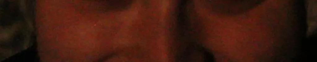 False Skin