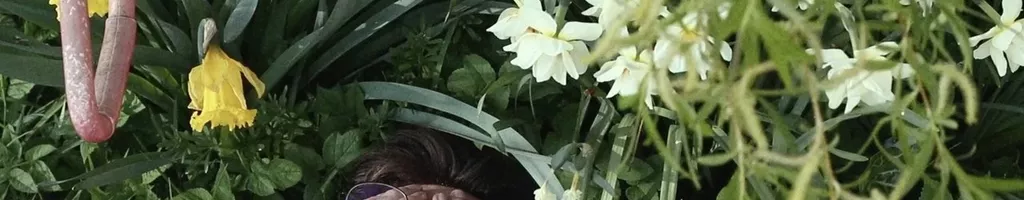 Garden Story