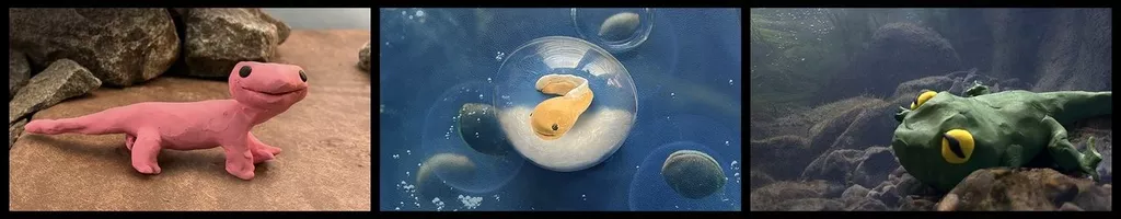 Metamorphosis