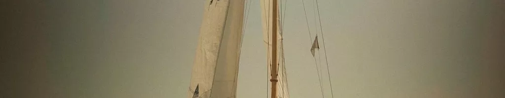 Vougas of the Ria de Aveiro