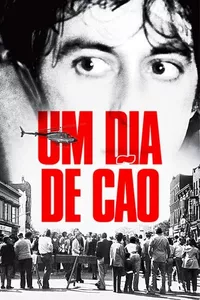 Um Dia de Cão Um Dia de Cão