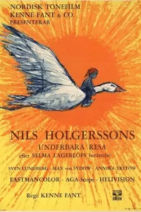 Wonderful Adventures of Nils Wonderful Adventures of Nils