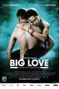 Big Love Big Love