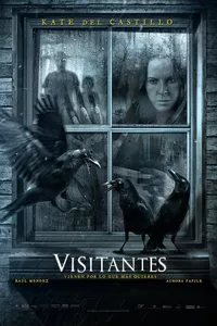 Visitors Visitors