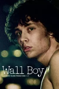 Wall Boy Wall Boy
