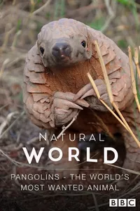 Pangolins: The World's Most Wanted Animal Pangolins: The World's Most Wanted Animal