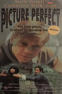 Picture Perfect Picture Perfect