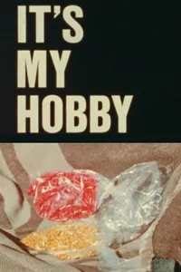 It's My Hobby It's My Hobby