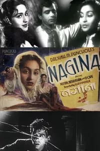 Nagina Nagina