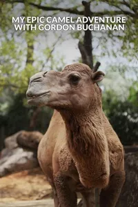 My Epic Camel Adventure With Gordon Buchanan My Epic Camel Adventure With Gordon Buchanan