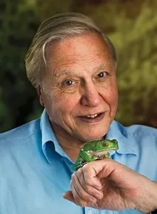 Foto de David Attenborough Foto de David Attenborough