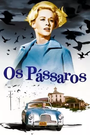 Os Pássaros