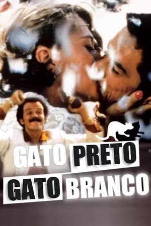 Gata Preta, Gato Branco