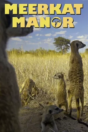 Meerkat Manor