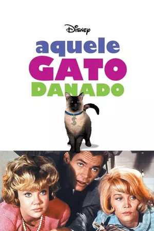 Aquele Gato Danado