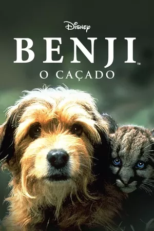 Benji - Um Cão Desafia a Selva