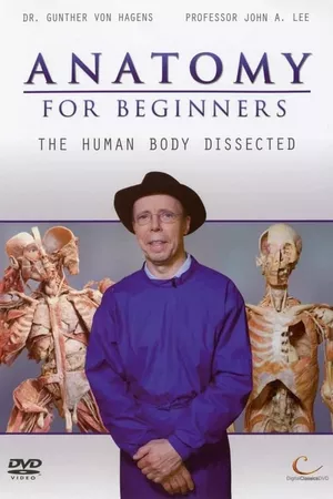 Anatomy for Beginners