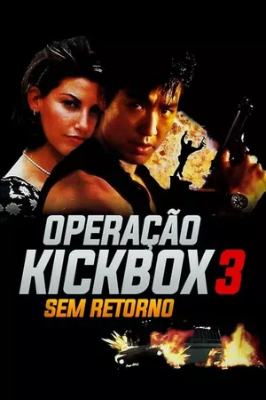 Operação Kickbox 3 - Sem Retorno