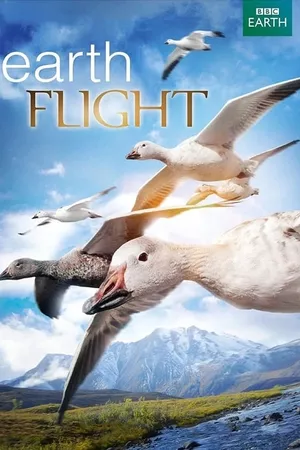 Earthflight