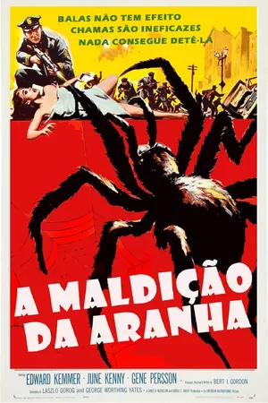 A Maldição da Aranha