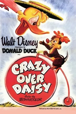 Crazy Over Daisy